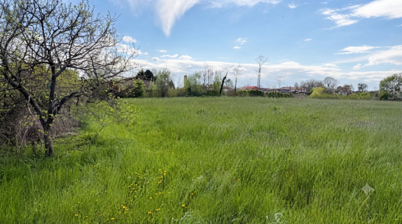 (Per INFO Vittorio 3517343301) Proponiamo a Piombino Dese terreno edificabile di circa 4.000 mq s...