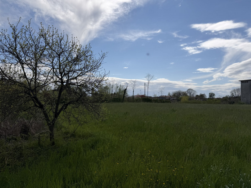 (PER INFO VITTORIO 3517343301) Proponiamo a Piombino Dese terreno edificabile di circa 4.000 mq s...
