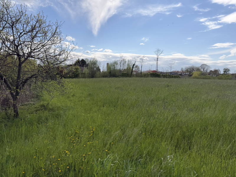 (PER INFO VITTORIO 3517343301) Proponiamo a Piombino Dese terreno edificabile di circa 4.000 mq s...
