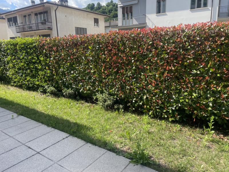 Zona Borne, proponiamo appartamento al piano terra con terrazzo e giardino di proprietà in palazz...