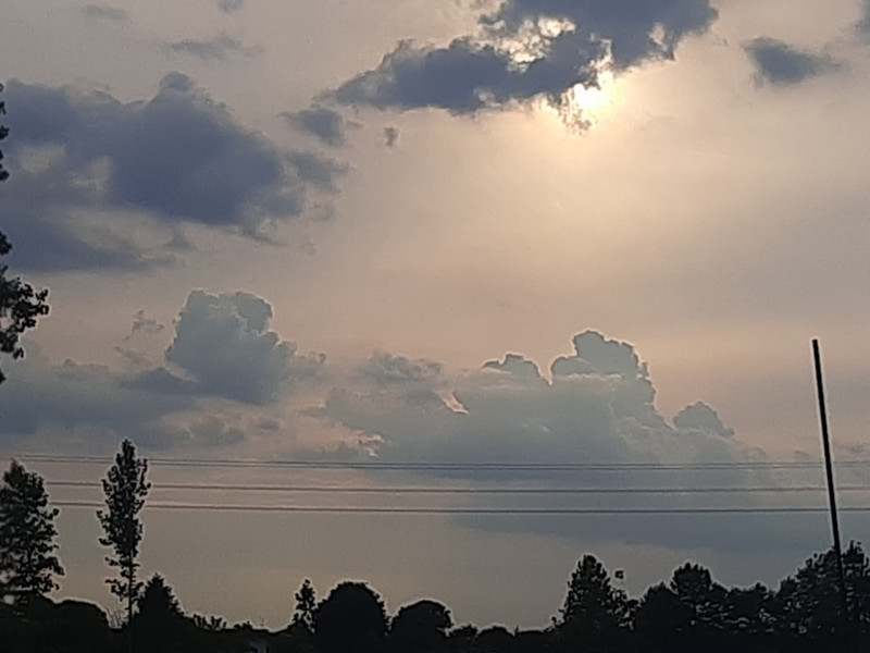 Se alla sera vuoi tornare a casa e goderti il verde ed il silenzio, ti proponiamo questa VILLA, d...
