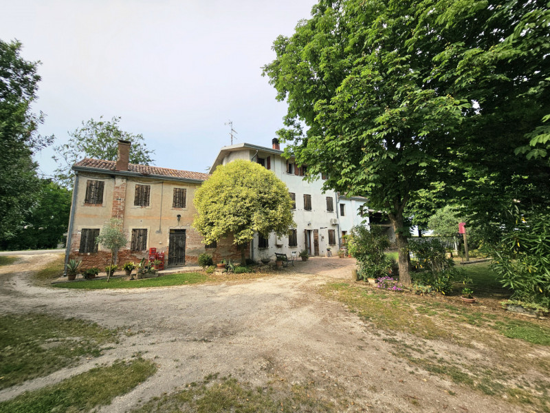 Proponiamo in vendita a Casale di Scodosia, spaziosa casa singola, ubicata in un contesto tranqui...