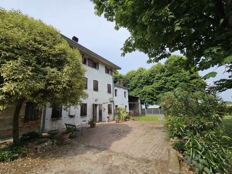 Proponiamo in vendita a Casale di Scodosia, spaziosa casa singola, ubicata in un contesto tranqui...