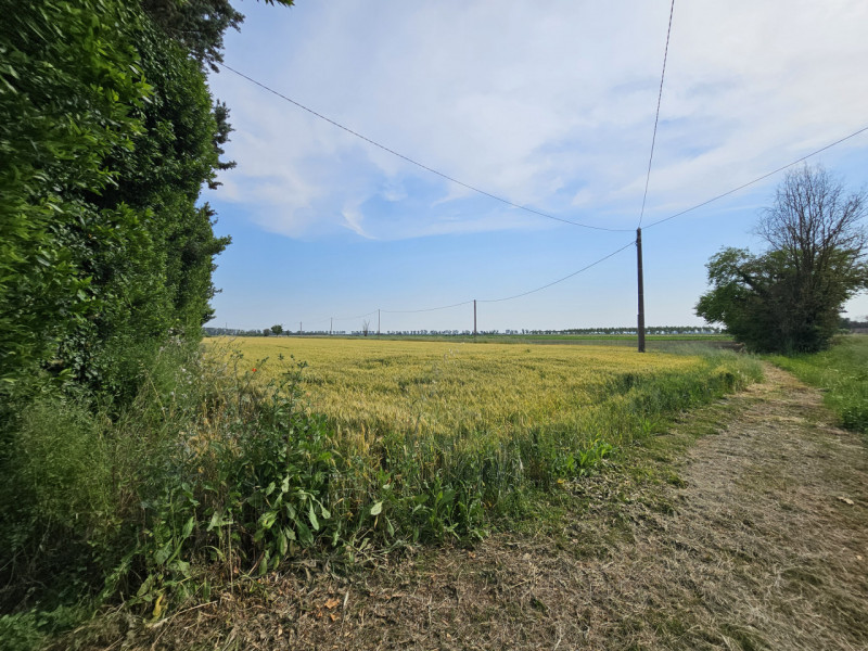 Proponiamo in vendita a Casale di Scodosia, spaziosa casa singola, ubicata in un contesto tranqui...