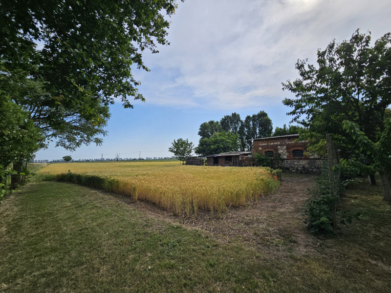 Proponiamo in vendita a Casale di Scodosia, spaziosa casa singola, ubicata in un contesto tranqui...
