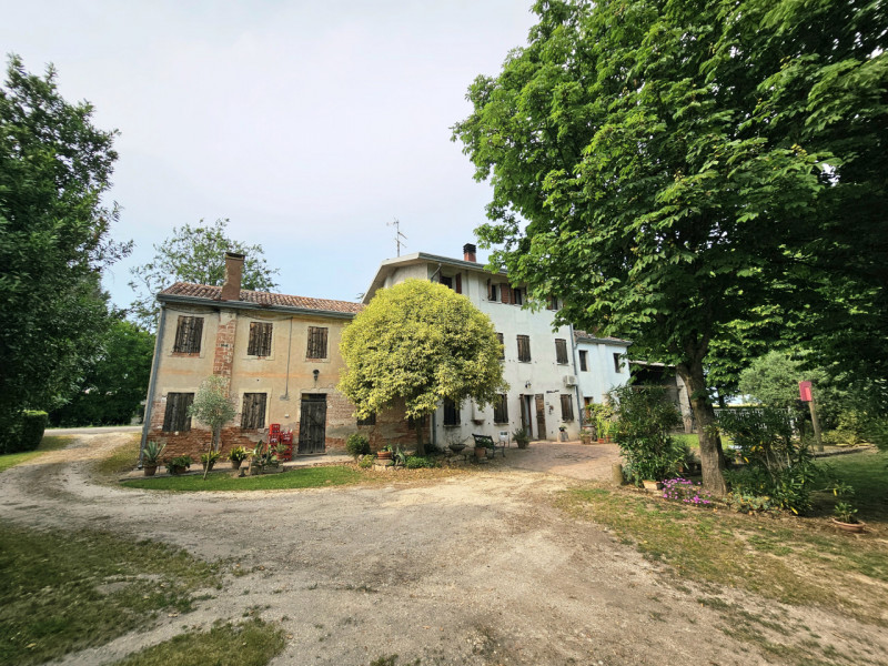 Proponiamo in vendita a Casale di Scodosia, spaziosa casa singola, ubicata in un contesto tranqui...