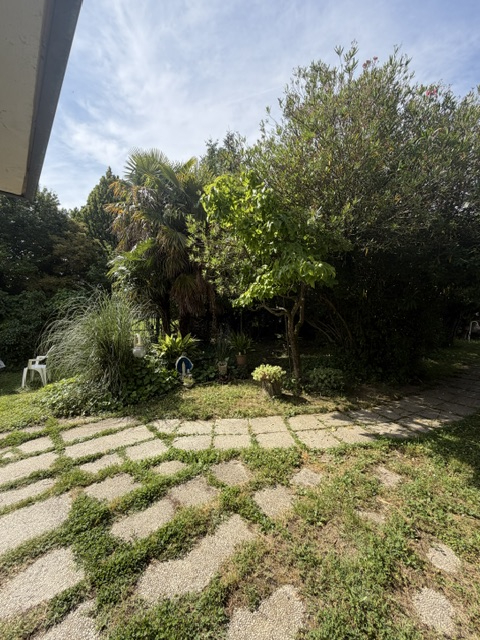 Vigonza -  Peraga  in posizione strategica per raggiungere comodamente i comuni limitrofi,  vende...