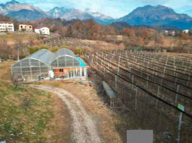 Rif. A.A.33-25

Vendita all'asta - fabbricato per attività agricole in data 14 luglio 2026

Descr...