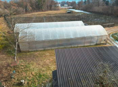 Rif. A.A.33-25

Vendita all'asta - fabbricato per attività agricole in data 14 luglio 2026

Descr...