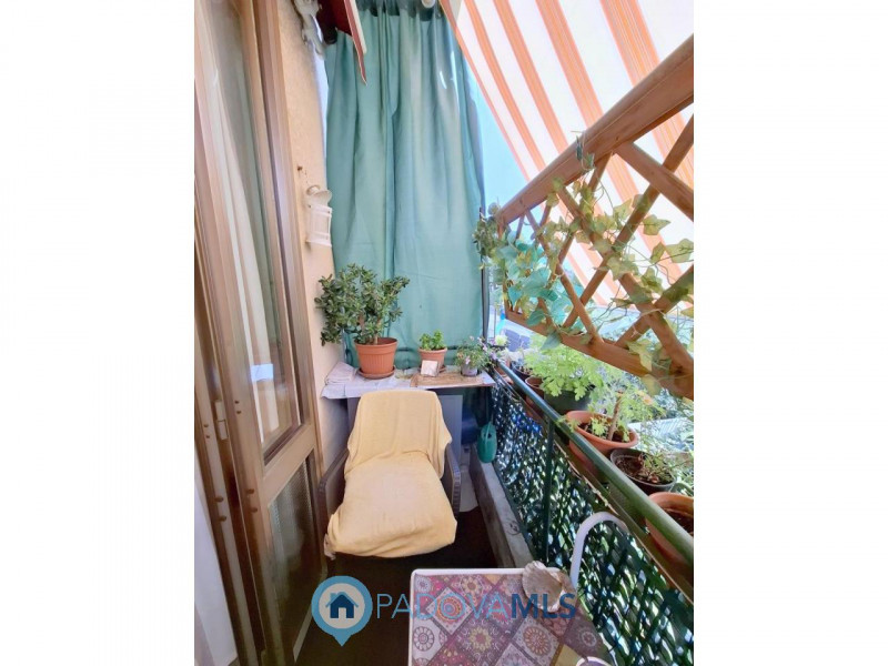Immobile in esclusiva al Gruppo Padova MLS
PORZIONE DI BIFAMILIARE CON GIARDINO – ARCELLA/S.BELLI...