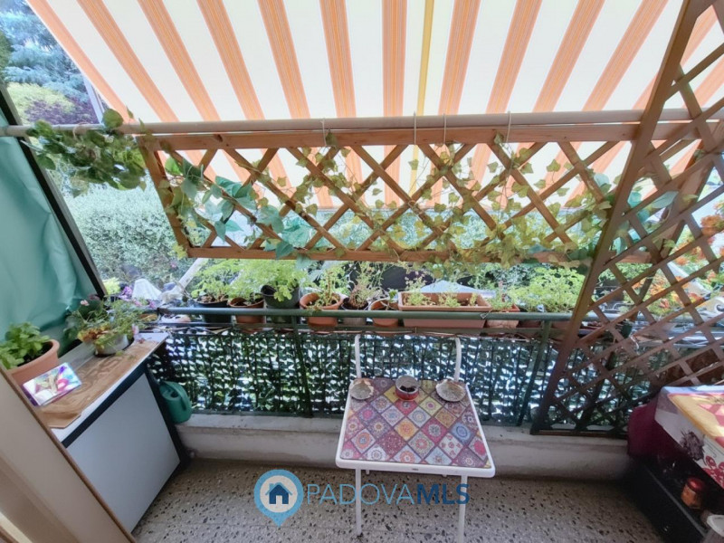 Immobile in esclusiva al Gruppo Padova MLS
PORZIONE DI BIFAMILIARE CON GIARDINO – ARCELLA/S.BELLI...