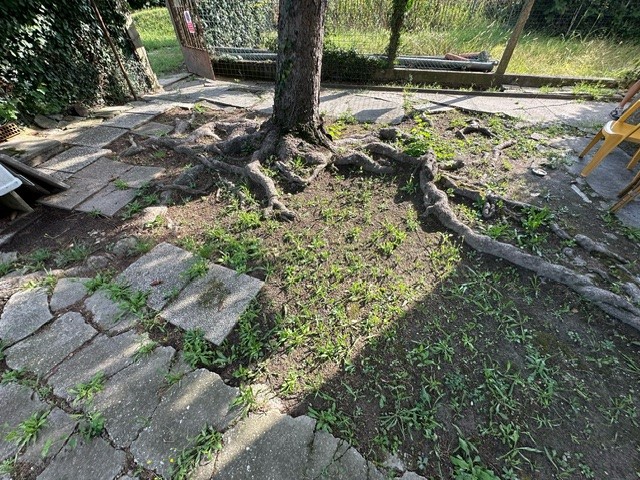 TORRE: Non soggetta a Classe Energetica.
In quartiere residenziale e ben accessibile alle princip...