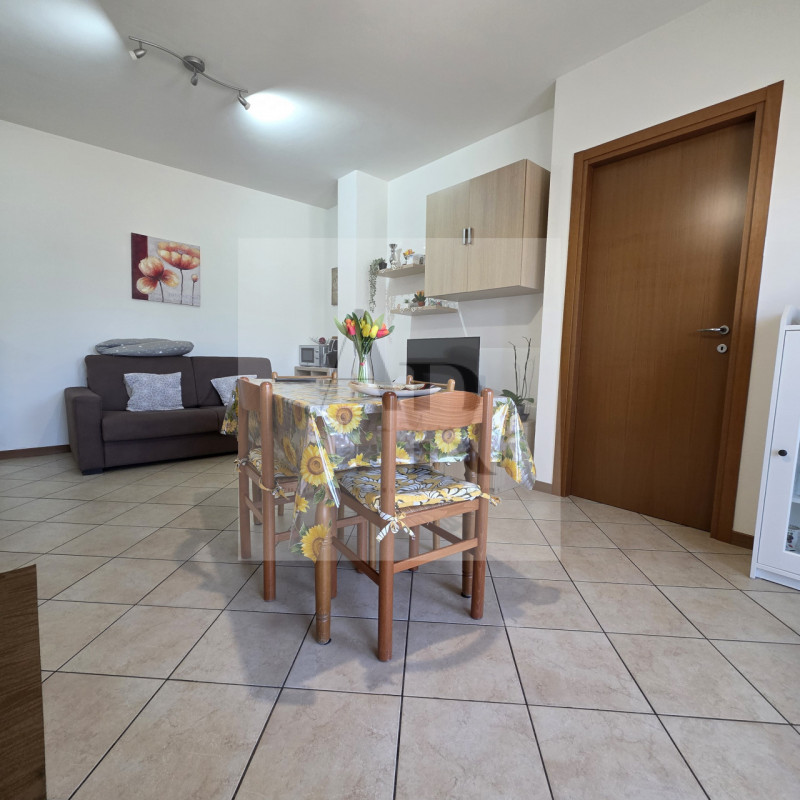 San Giorgio delle Pertiche - Loc. Arsego: Proponiamo in Locazione, su recente palazzina in tranqu...