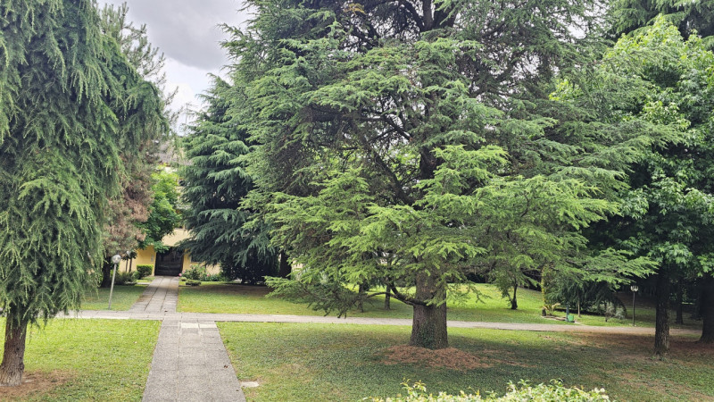 In una delle zone più tranquille e verdi di Padova, precisamente nel quartiere Montà, proponiamo ...