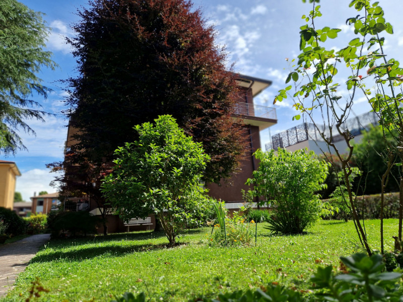 Splendido appartamento quadrilocale situato nel cuore del tranquillo quartiere di San Bellino a P...