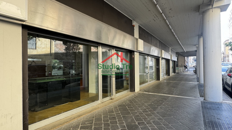 Sito nel pieno centro di Padova, nelle vicinanze di Piazza Insurrezione, proponiamo questo stupen...