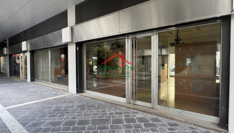 Sito nel pieno centro di Padova, nelle vicinanze di Piazza Insurrezione, proponiamo questo stupen...