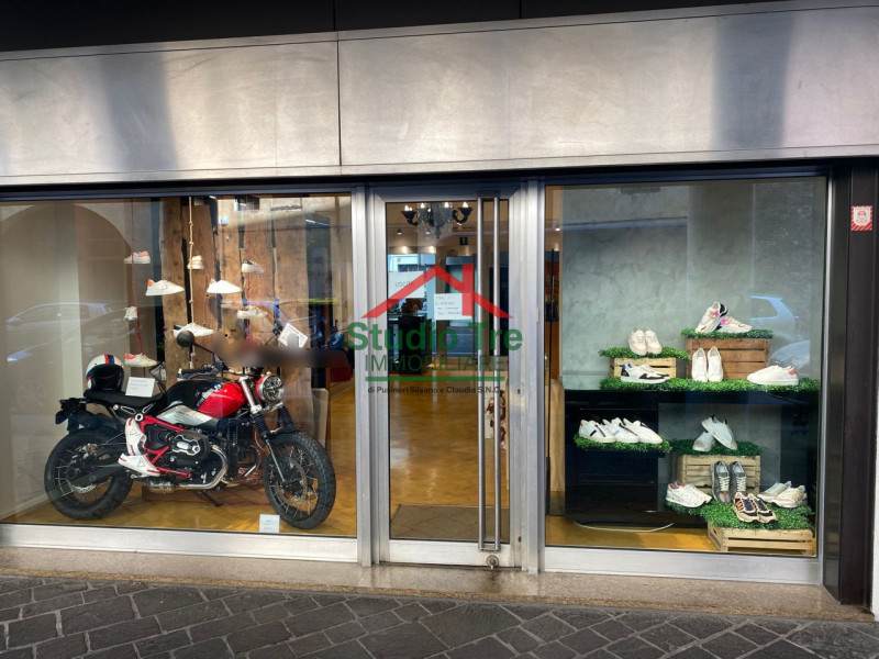 Sito nel pieno centro di Padova, nelle vicinanze di Piazza Insurrezione, proponiamo questo stupen...