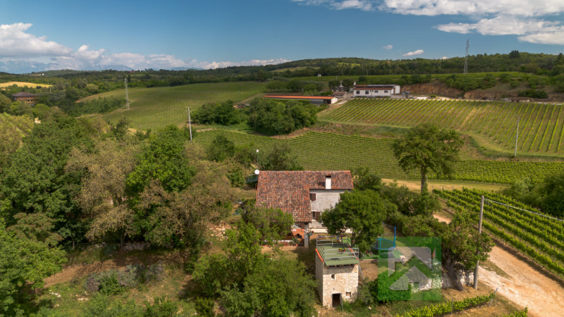A pochi minuti da Alonte, in una zona tranquilla e completamente immersa nella natura, proponiamo...