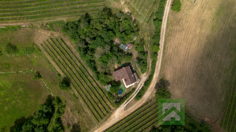 A pochi minuti da Alonte, in una zona tranquilla e completamente immersa nella natura, proponiamo...