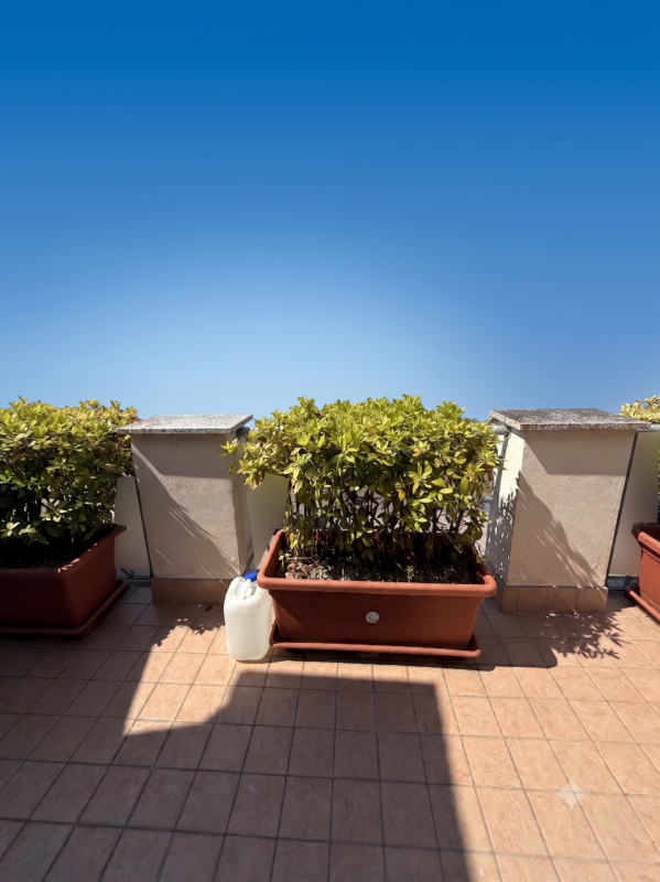 Appartamento inserito nella prestigiosa ed elegante cornice di Monteortone, a pochissimi passi da...