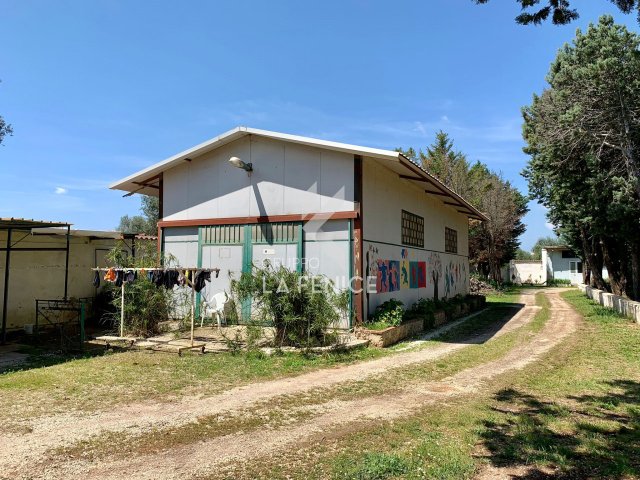 immagine annuncio 7 di 15
