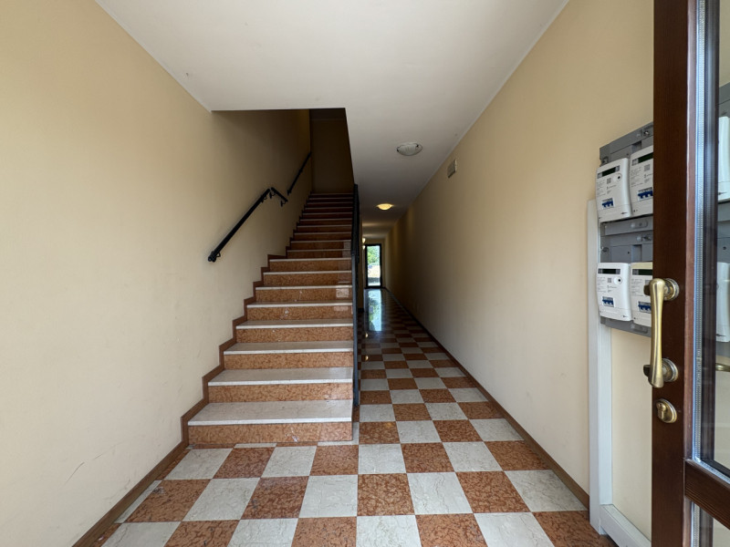 All'interno di un tranquillo quartiere residenziale, nelle immediate vicinanze del centro di Albe...