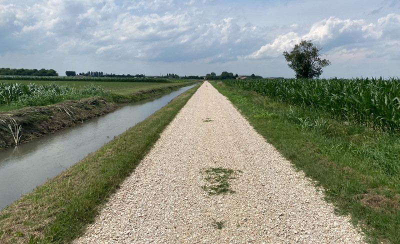SANT'URBANO: scopri un'opportunità unica di investimento nel cuore della campagna veneta! Proponi...