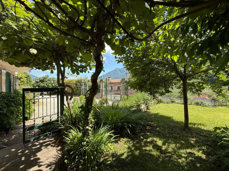 In posizione tranquilla e riservata, proponiamo in vendita casa indipendente circondata da terren...