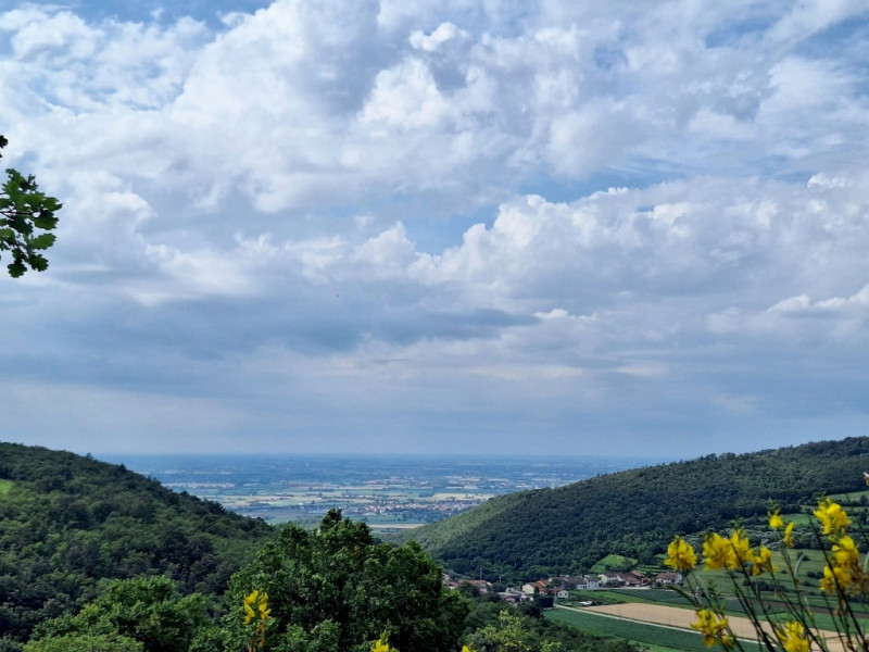 VILLETTA SINGOLA CON PISCINA E AMPIO APPEZZAMENTO DI TERRENO, IN VENDITA A POZZOLO DI VILLAGA - R...