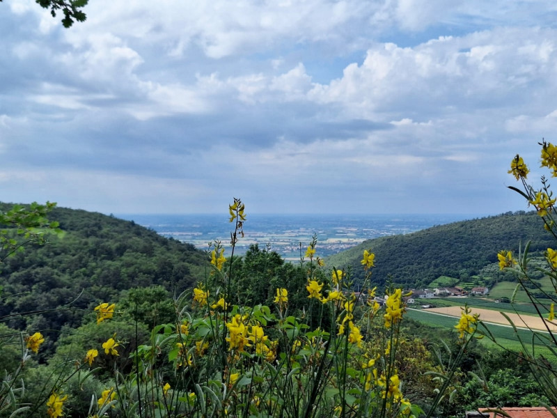 VILLETTA SINGOLA CON PISCINA E AMPIO APPEZZAMENTO DI TERRENO, IN VENDITA A POZZOLO DI VILLAGA - R...