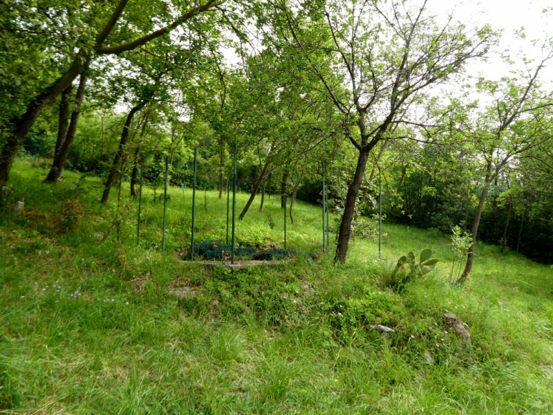 VILLETTA SINGOLA CON PISCINA E AMPIO APPEZZAMENTO DI TERRENO, IN VENDITA A POZZOLO DI VILLAGA - R...