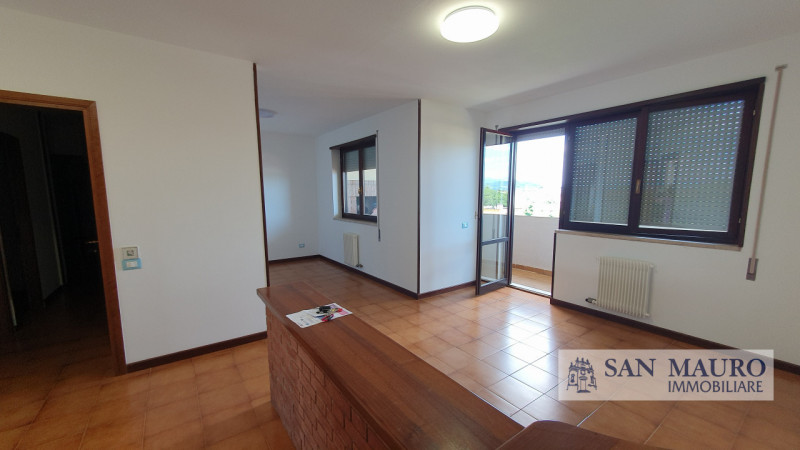 VICENZA Interno Viale della Pace: ampio appartamento parzialmente arredato con tre camere, due ba...