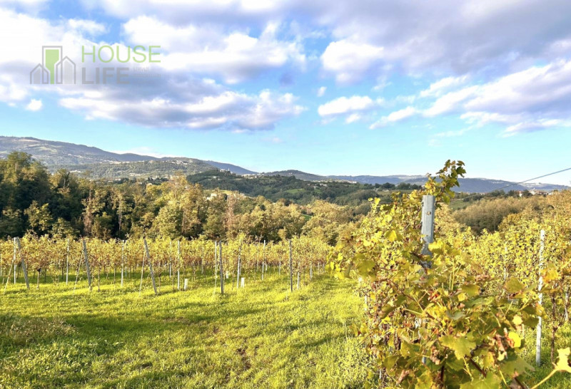 FARA VICENTINO: SPLENDIDA PROPRIETA' AGRICOLA IN COLLINA con vigneto, abitazione, annessi rustici...