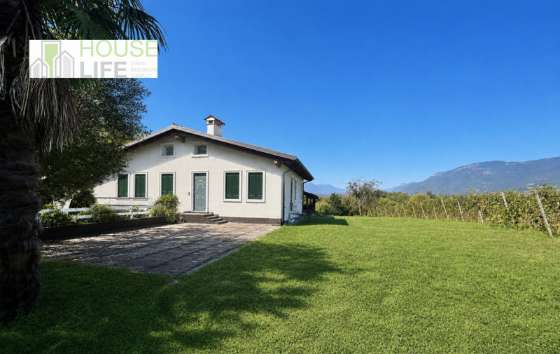 FARA VICENTINO: SPLENDIDA PROPRIETA' AGRICOLA IN COLLINA con vigneto, abitazione, annessi rustici...