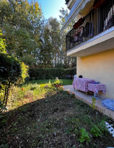Rif. A.A.416-24

Vendita all'asta - appartamento ai piani terra e primo in data 22 luglio 2026

D...