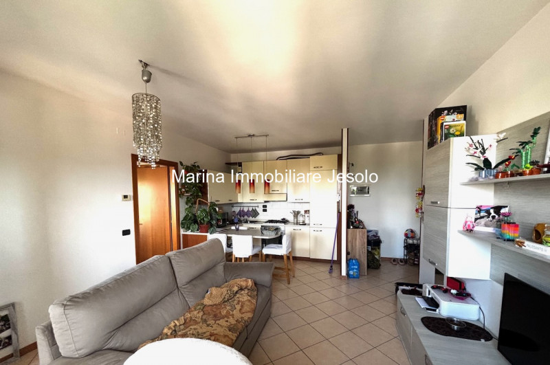 Scopri questo grazioso appartamento bilocale situato nel cuore della tranquilla zona Debba, un'ar...