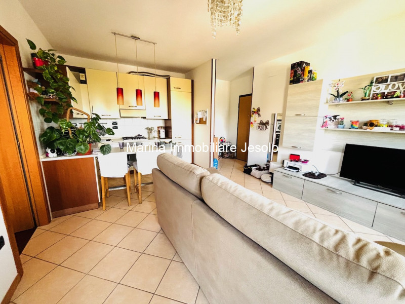 Scopri questo grazioso appartamento bilocale situato nel cuore della tranquilla zona Debba, un'ar...