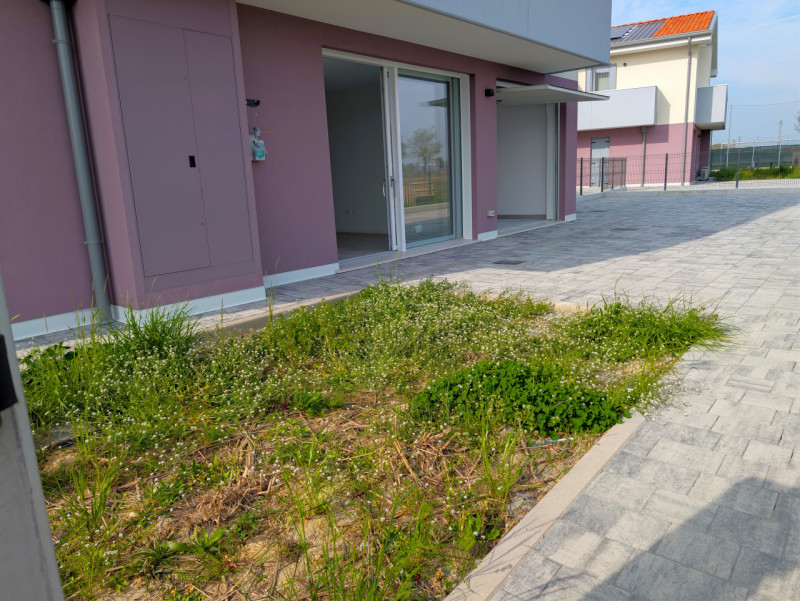 MONTEGALDA!
ULTIMI DUE BICAMERE AL PIANO TERRA!

- GIARDINO FINO A 200 MQ

- NUOVI IN PRONTA CONS...
