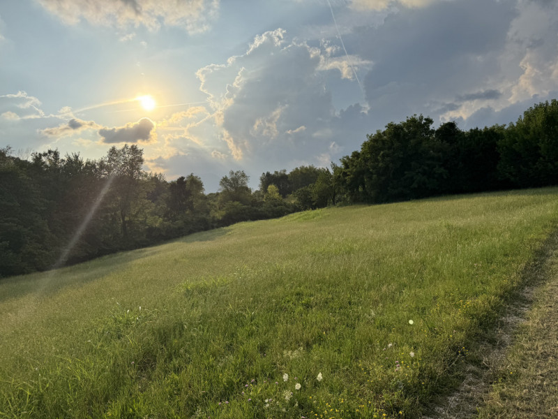 ALTO VICENTINO: a 5 minuti da Thiene e in splendida posizione panoramica nelle Colline delle Breg...
