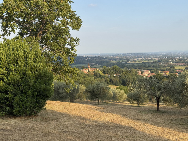 ALTO VICENTINO: a 5 minuti da Thiene e in splendida posizione panoramica nelle Colline delle Breg...