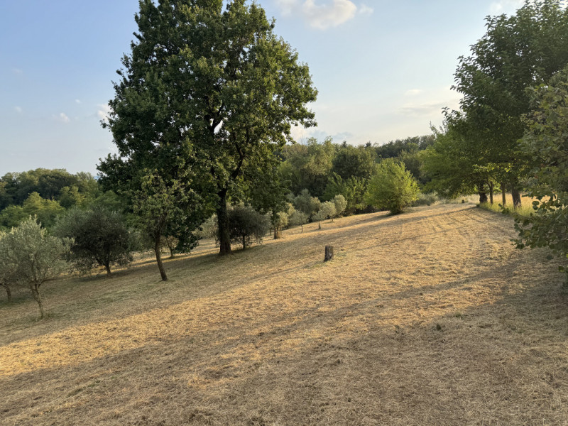 ALTO VICENTINO: a 5 minuti da Thiene e in splendida posizione panoramica nelle Colline delle Breg...