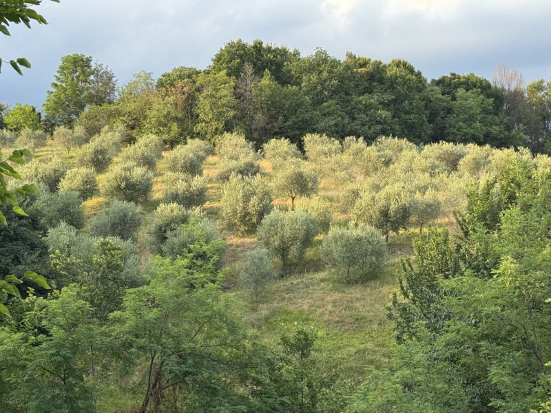 ALTO VICENTINO: a 5 minuti da Thiene e in splendida posizione panoramica nelle Colline delle Breg...