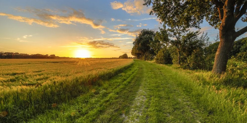 Proponiamo in vendita appezzamento di terreno agricolo di circa 19.800 mq.
Il terreno si presenta...