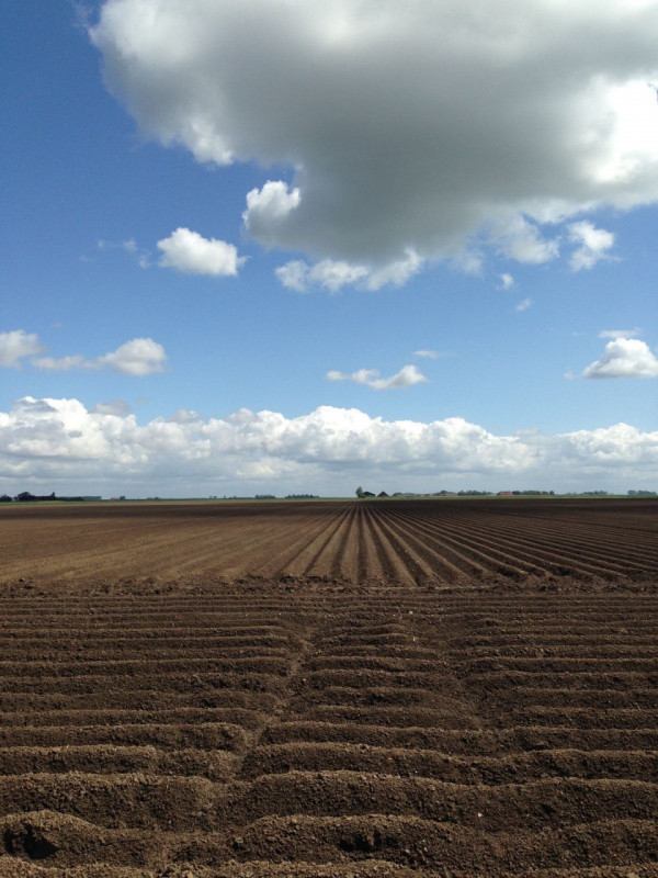 Proponiamo in vendita appezzamento di terreno agricolo di circa 19.800 mq.
Il terreno si presenta...