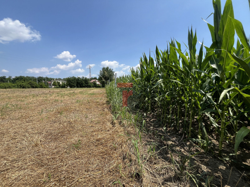 Nella prima periferia di Padova, in zona Altichiero, in una posizione facilmente raggiungibile e ...