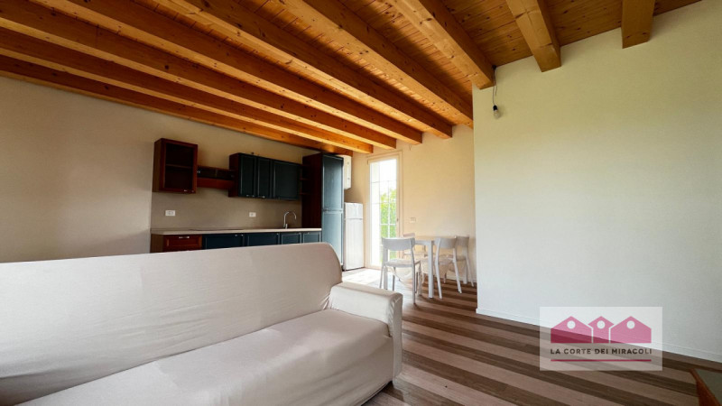 VICENZA: APPARTAMENTO RISTRUTTURATO CON GIARDINO PRIVATO COMPOSTO DA UNA CAMERA DA LETTO, UNA CAB...