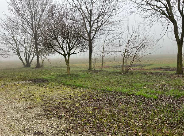 Rif. A.A.36-24

Vendita all'asta - terreno di completamento

Descrizione: trattasi di due appezza...