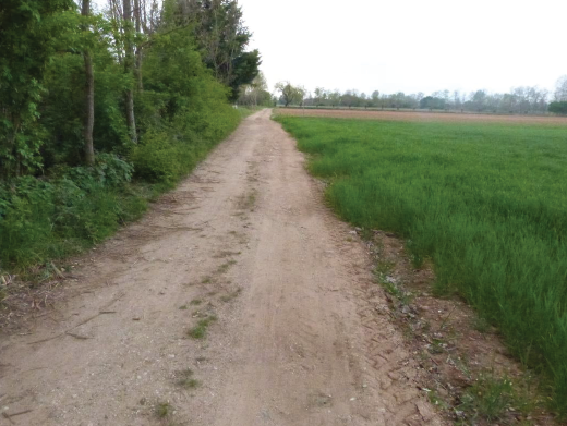 Rif. A.A.450-252

Vendita all'asta - terreno agricolo in data 22 settembre 2026

Descrizione: tra...
