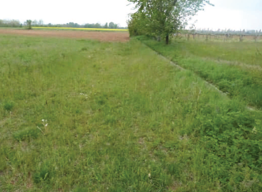 Rif. A.A.450-253

Vendita all'asta - terreno agricolo in data 22 settembre 2026

Descrizione: tra...